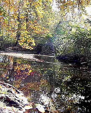 Brookside river