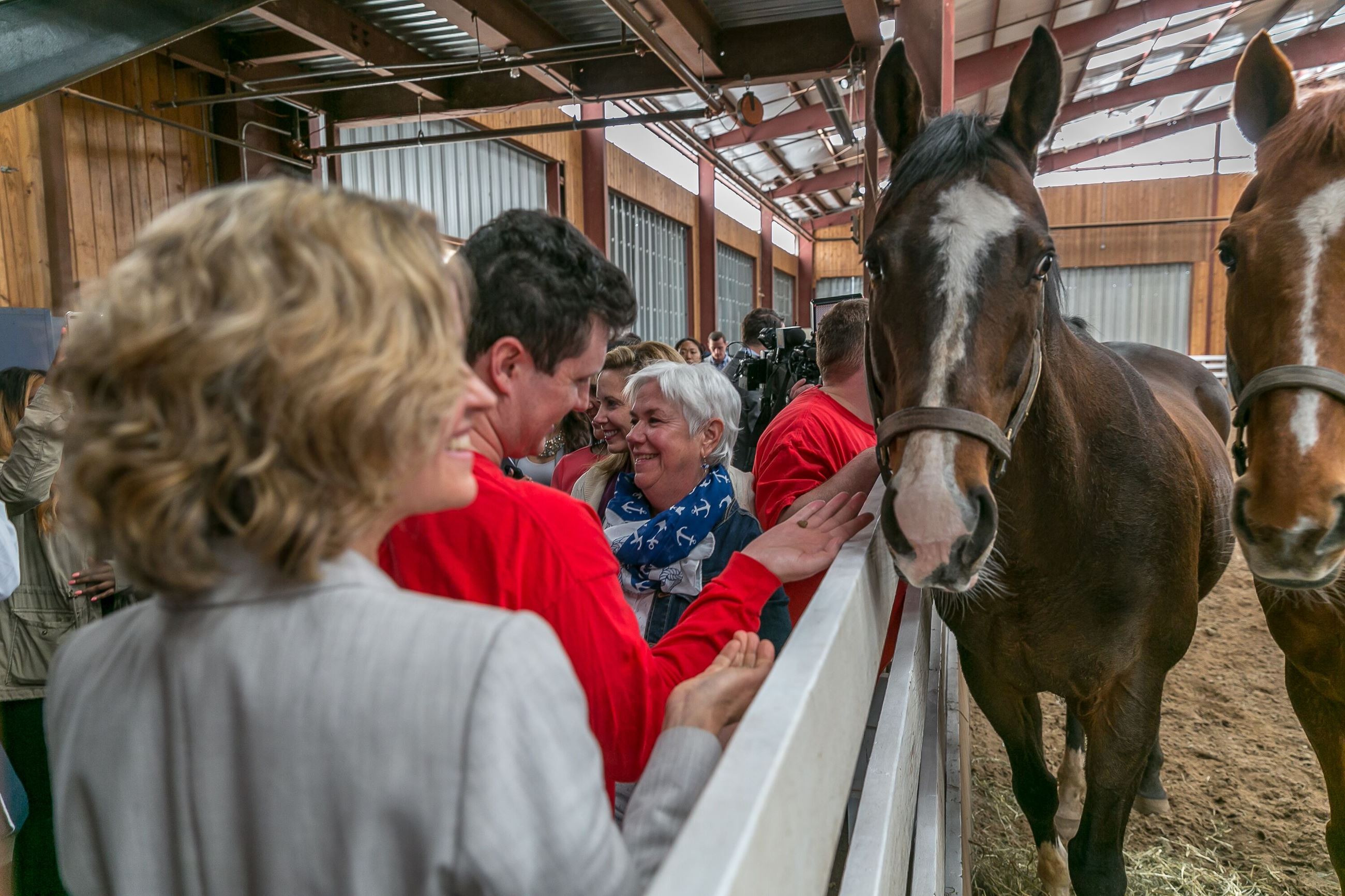 Horses 1