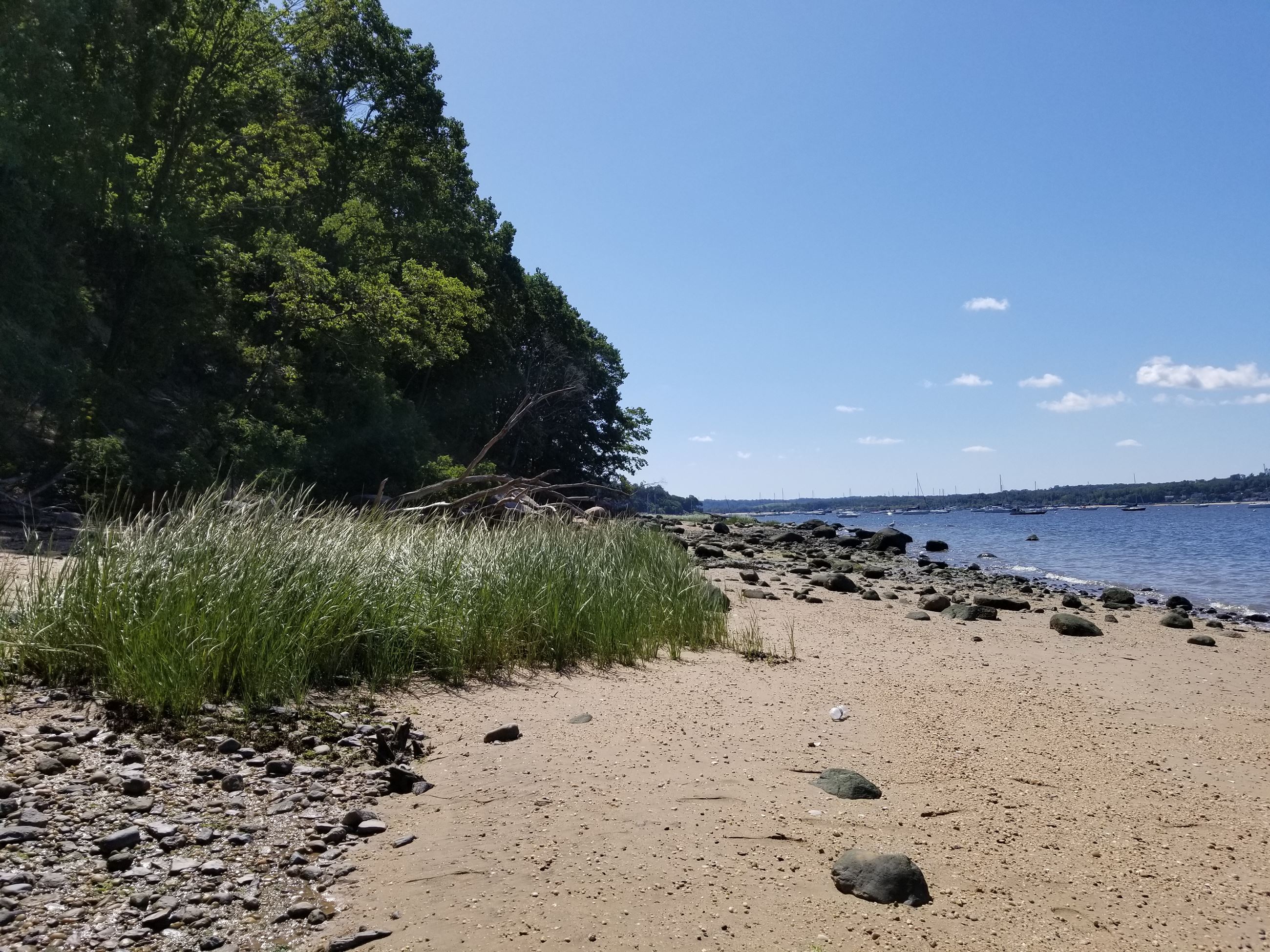 garvies shoreline