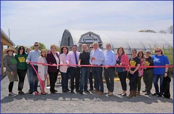 050522-LD6CrossroadFarm
