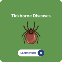 tickgraphiczoonoticpage