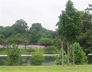 Christopher Morley Park provides a range of recreational activities and beautiful hiking trails.
