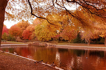 Hall’s Pond Park