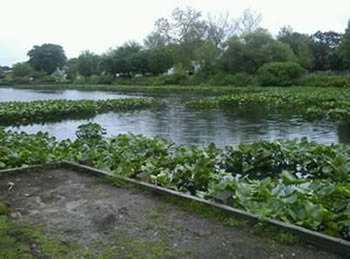 Lofts Pond Park