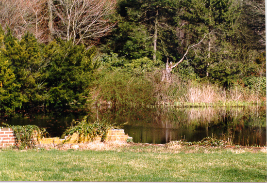 Grounds 1