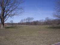 Open field