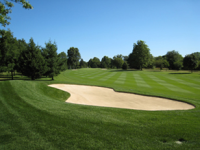Hole 6 bunker