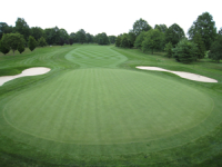 Hole 11 green